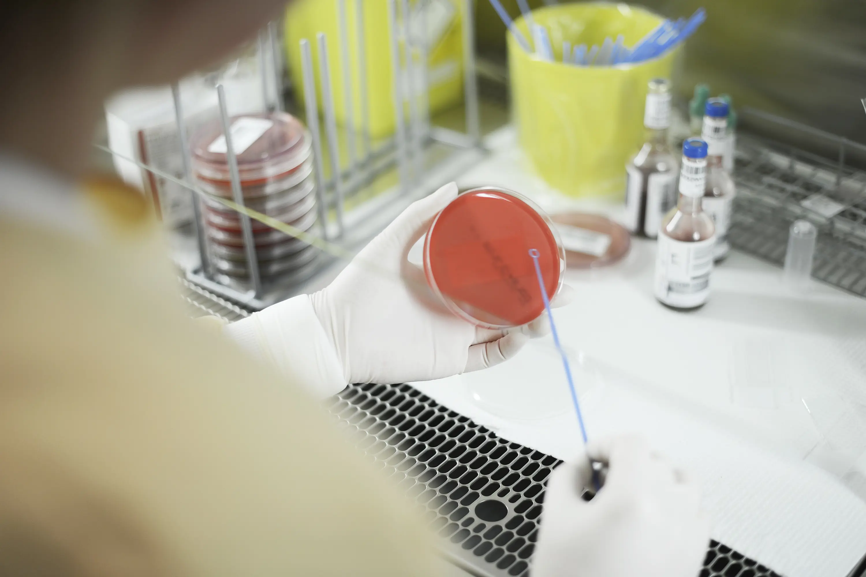 Nærbilde av hender som bruker laboratorieutstyr